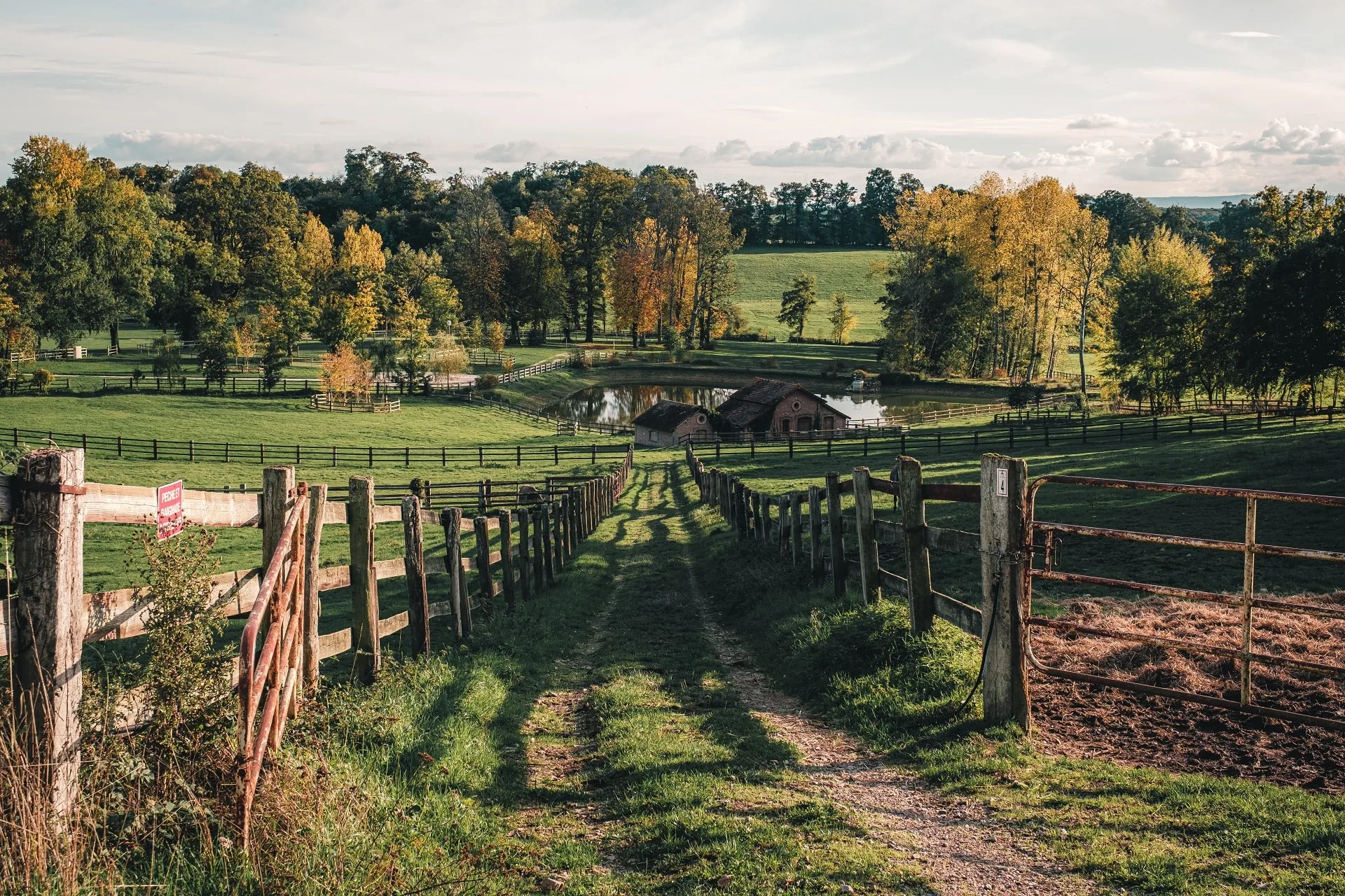 Campagne_au_Haras_du_Pin_Orne