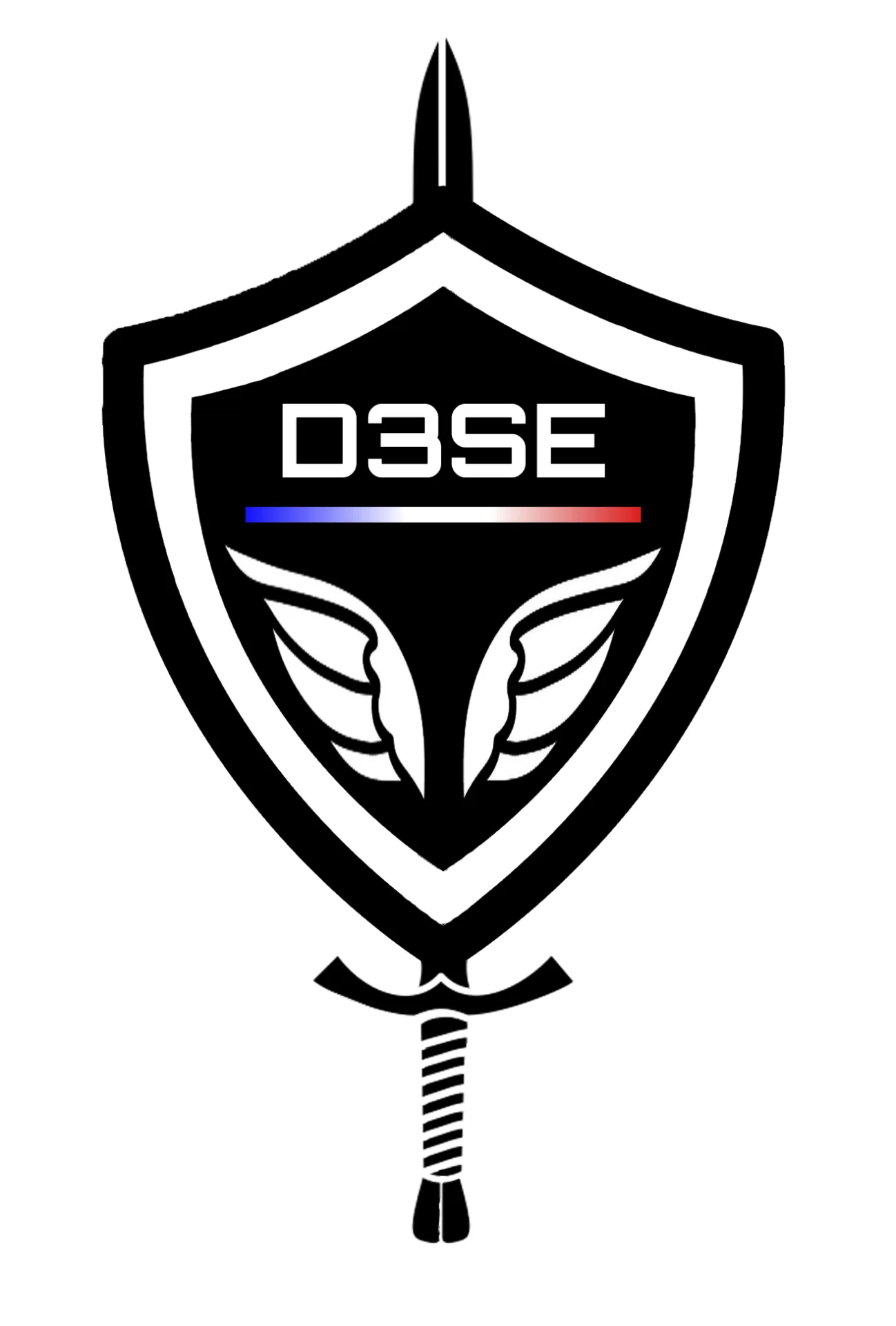 D3SE - Logo