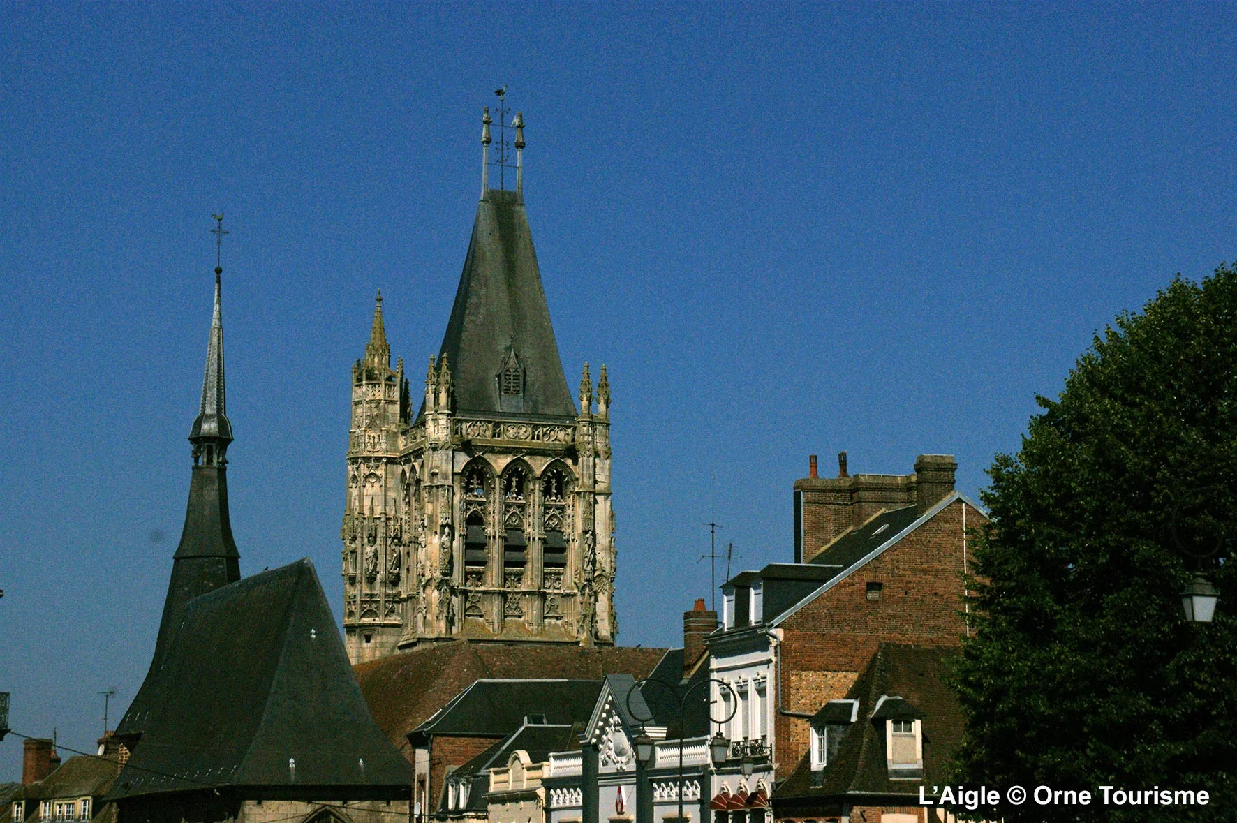 L-aigle-Cathédrale