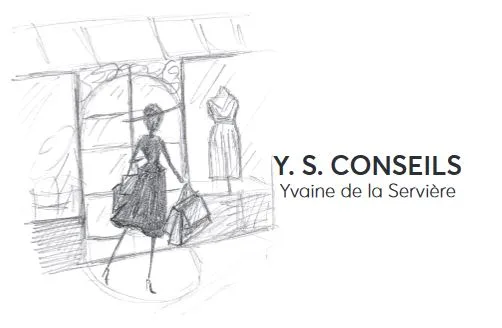 YS conseils Logo