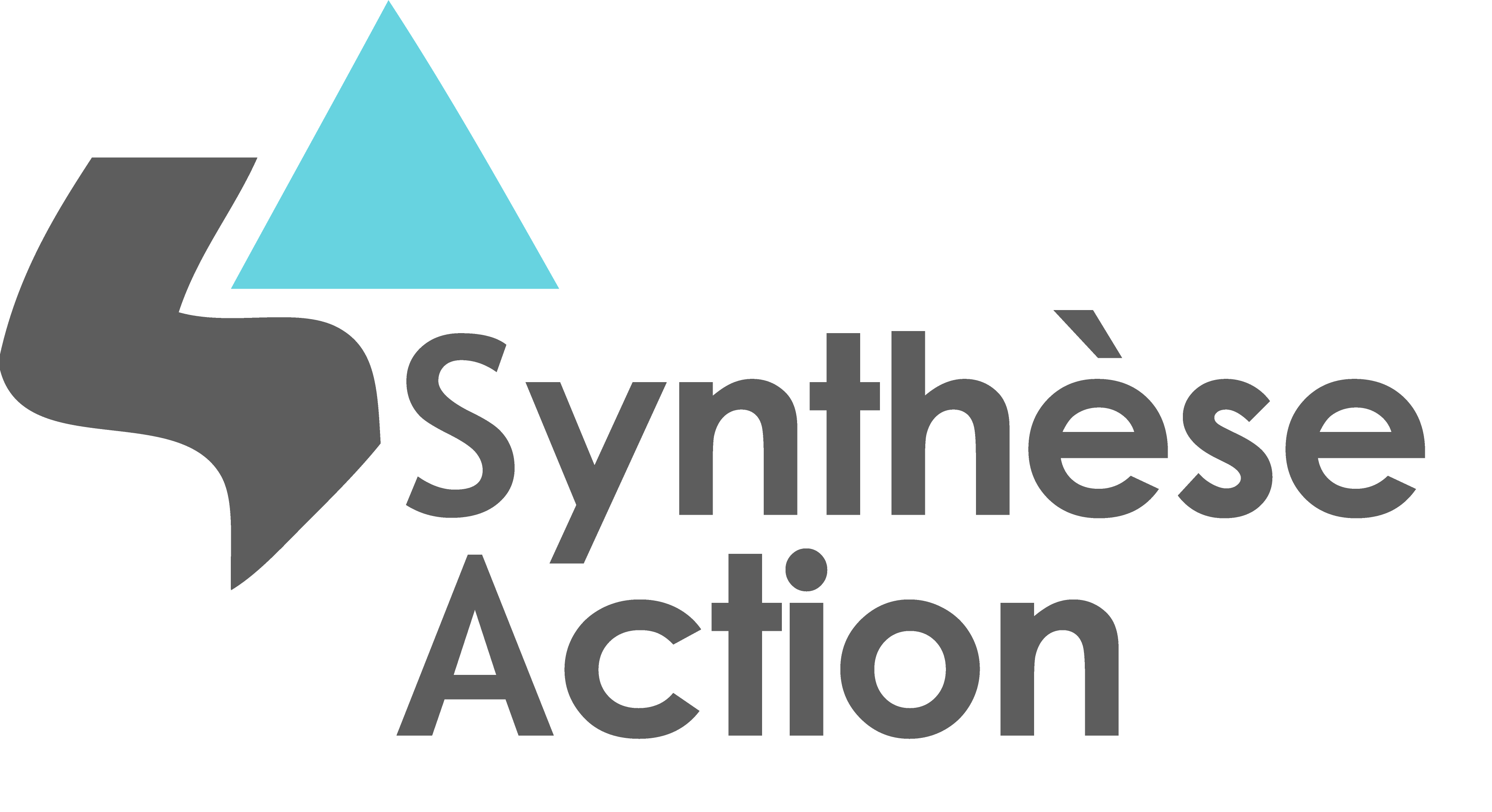 synthese action - alençon