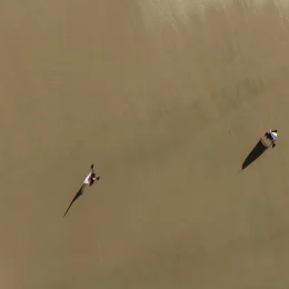 Faire du char à voile en Normandie