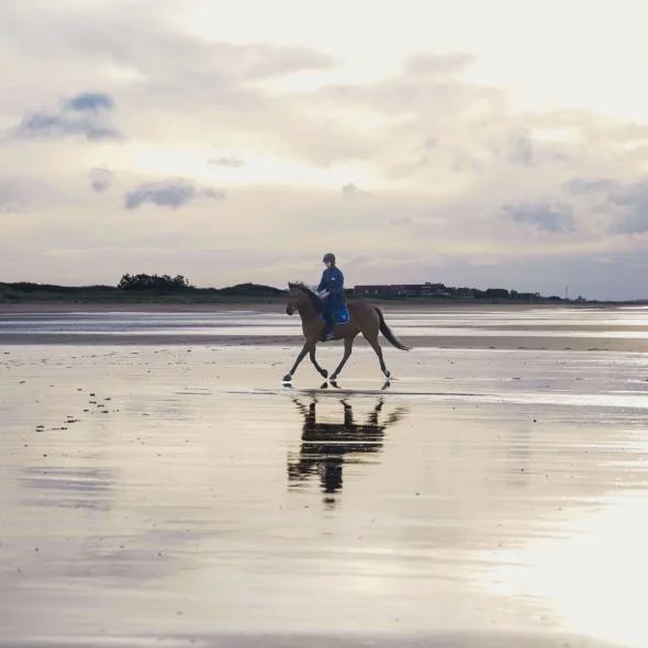 Balade à cheval sur la plage en Normandie
