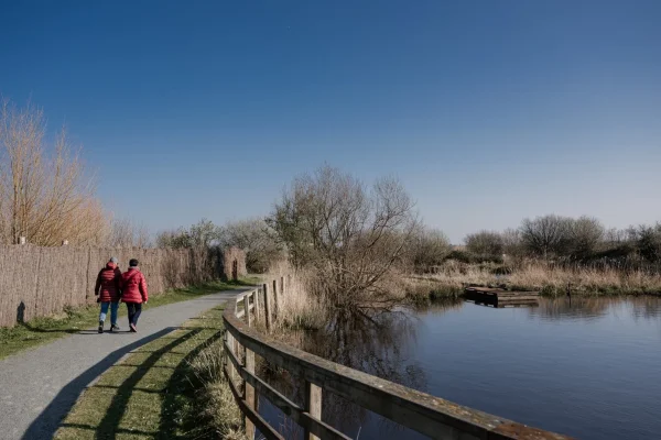 Sortie_nature_dans_les_marais_du_Cotentin_et_du_Bessin__maison_du_parc