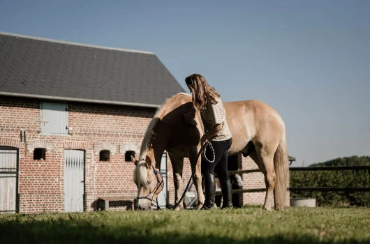 Faire de l’équitation en Normandie