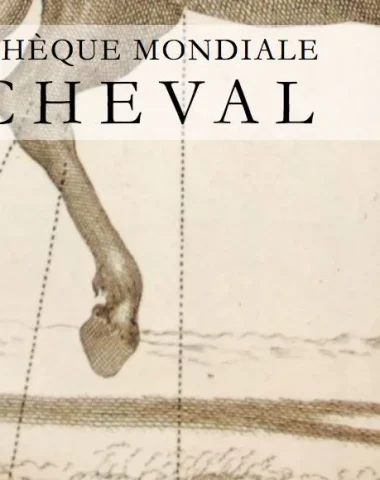 bibliothèque mondiale du cheval