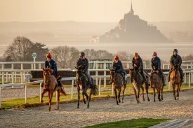 JO 2024 : filière équine en Normandie