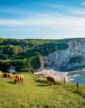 Falaises_de_la_Cote_d_Albatre seine-maritime